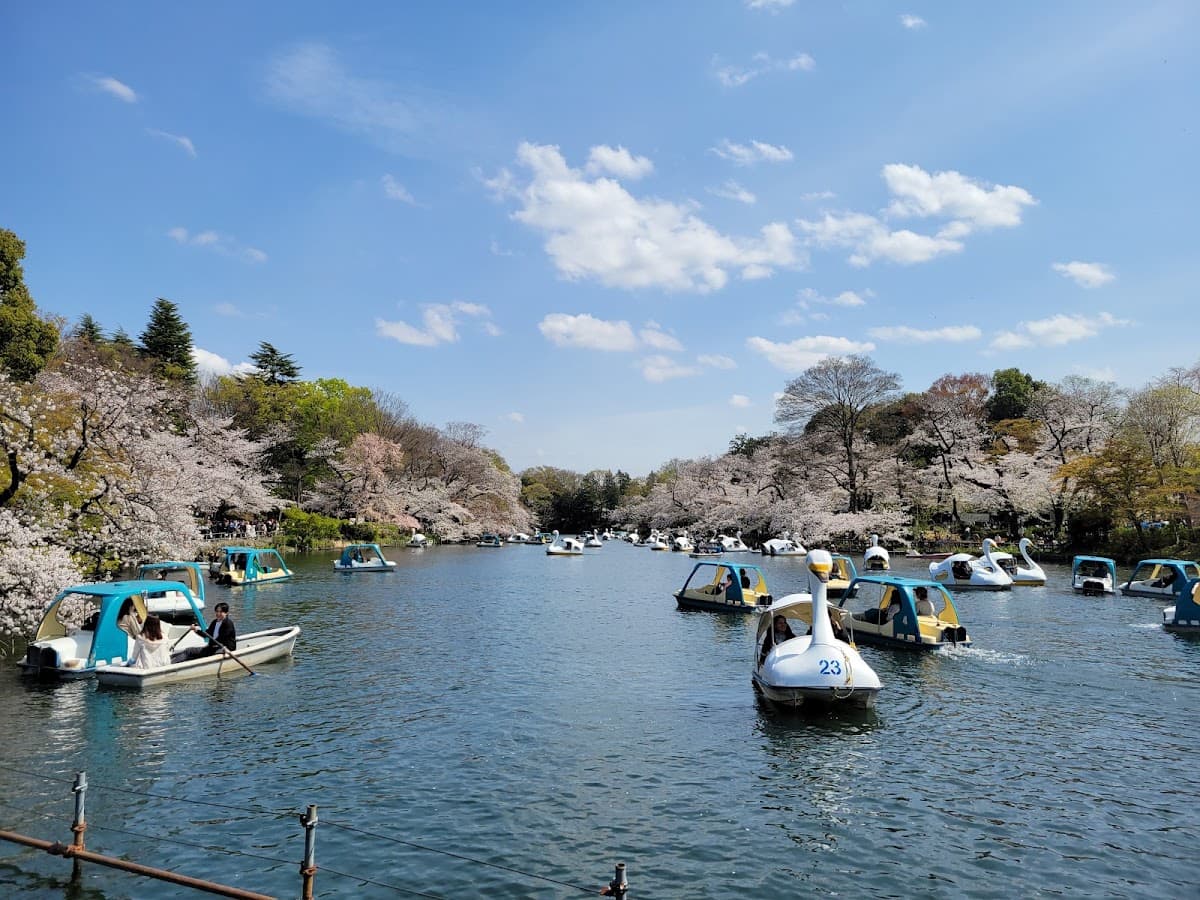 Inokashira Park photo 2