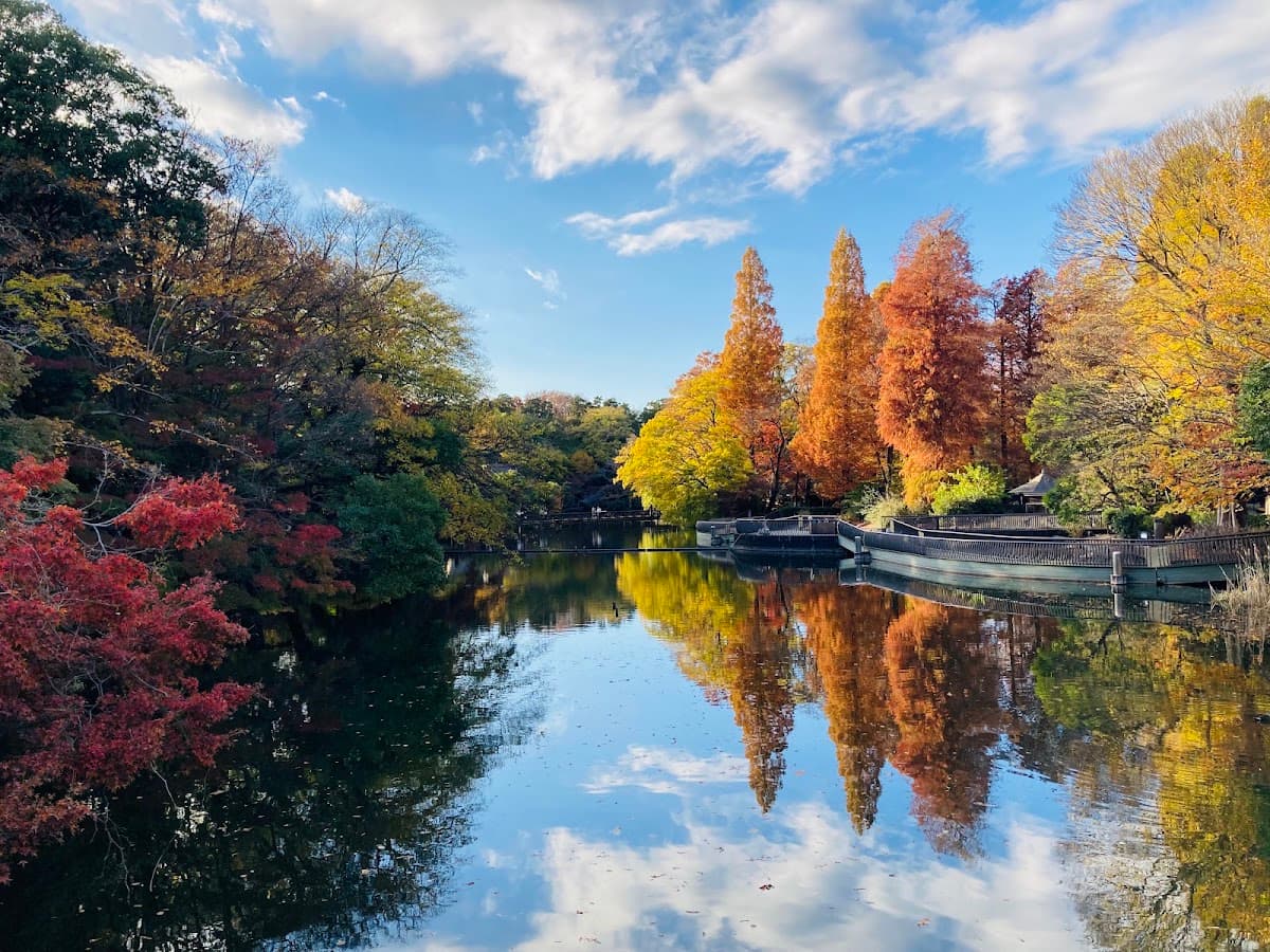 Inokashira Park photo 3