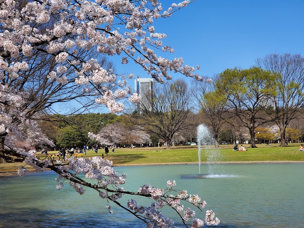 Yoyogi Park photo 1